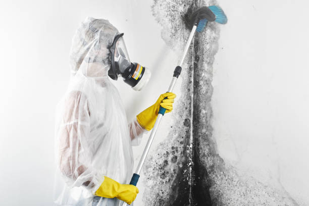 Best HVAC Mold Inspection and Cleaning  in Wooster, OH