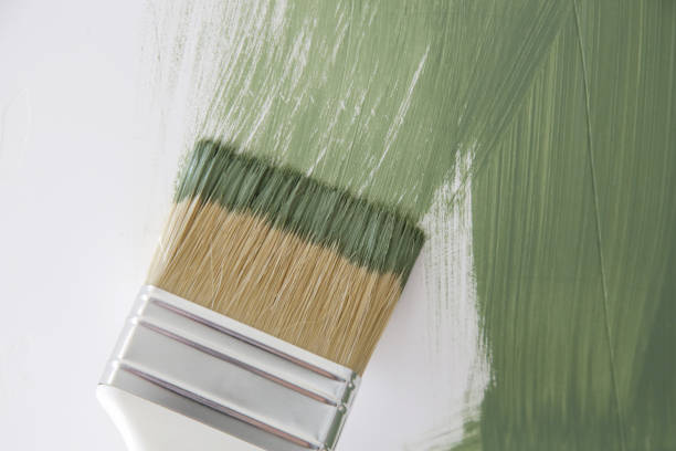 Best Water Damage & Mold Remediation  in Wooster, OH