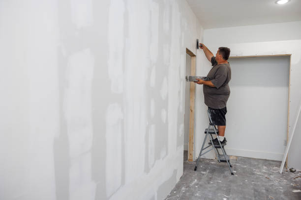 Best Mold Documentation for Insurance Claims  in Wooster, OH