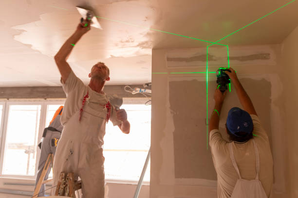 Best Black Mold Removal  in Wooster, OH